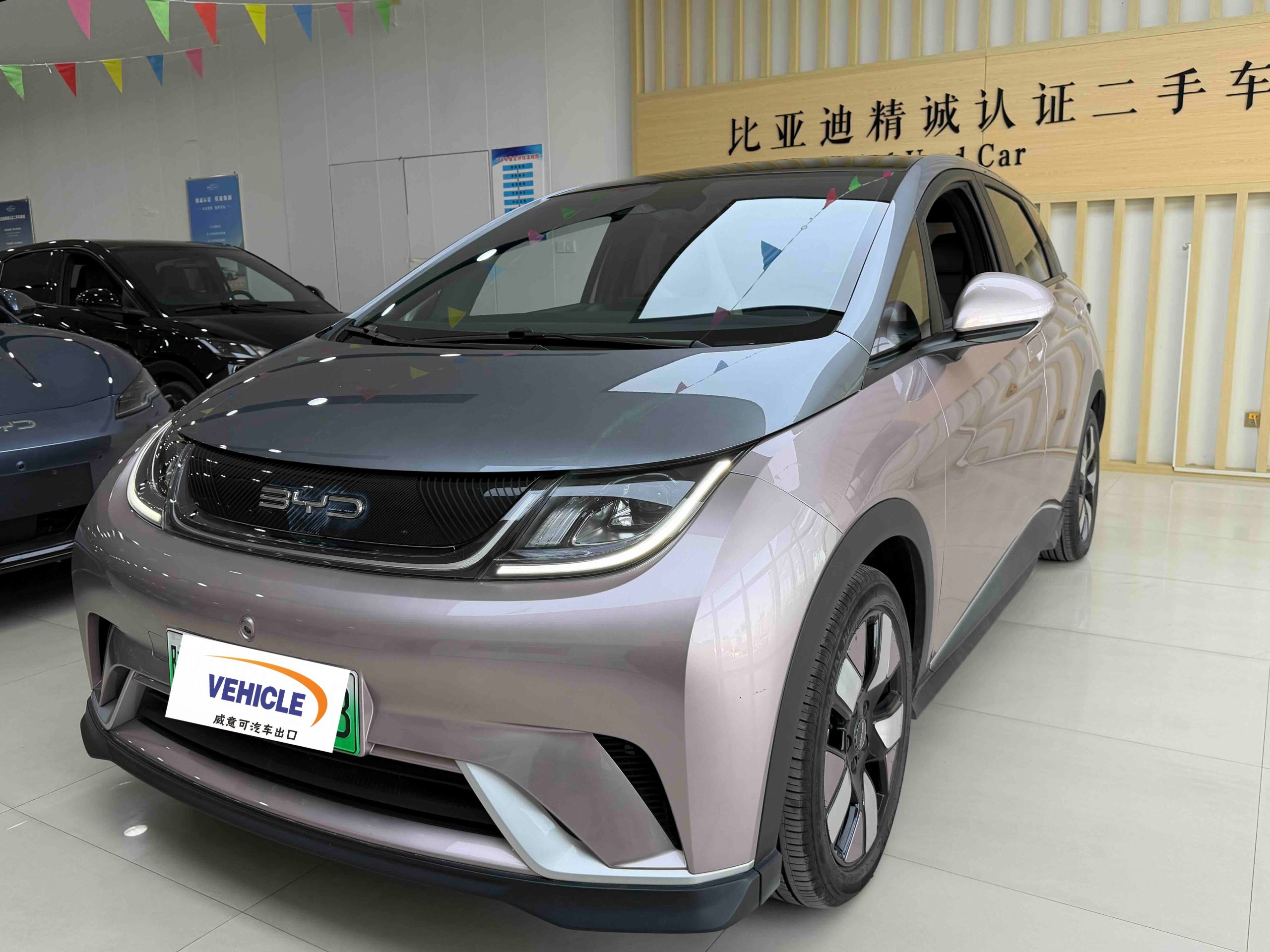 Used BYD Dolphin 2021 401km Knight Edition front view